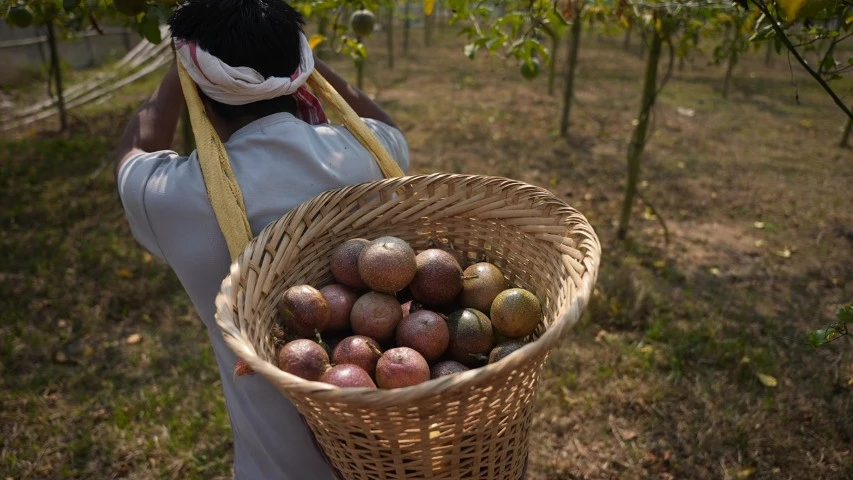 Story Image 5